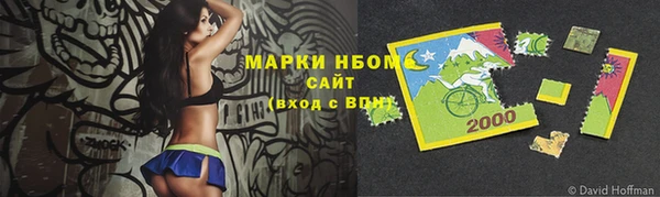 индика Красноперекопск