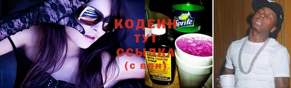 apvp Краснослободск