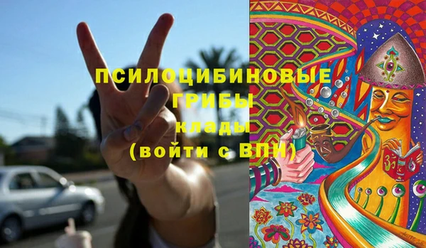 apvp Краснослободск