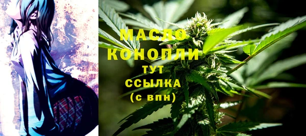 индика Красноперекопск