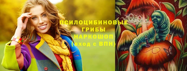 apvp Краснослободск