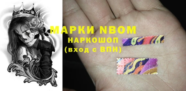 apvp Краснослободск