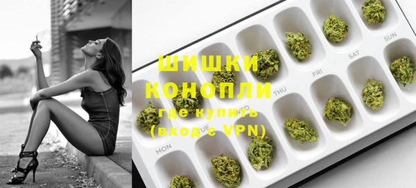 индика Красноперекопск