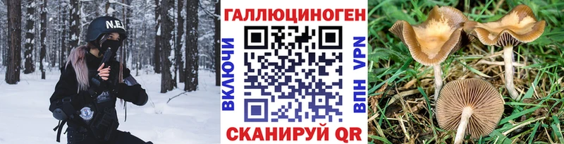 Купить закладки  Усть-Кут  Псилоцибиновые грибы MAGIC MUSHROOMS 